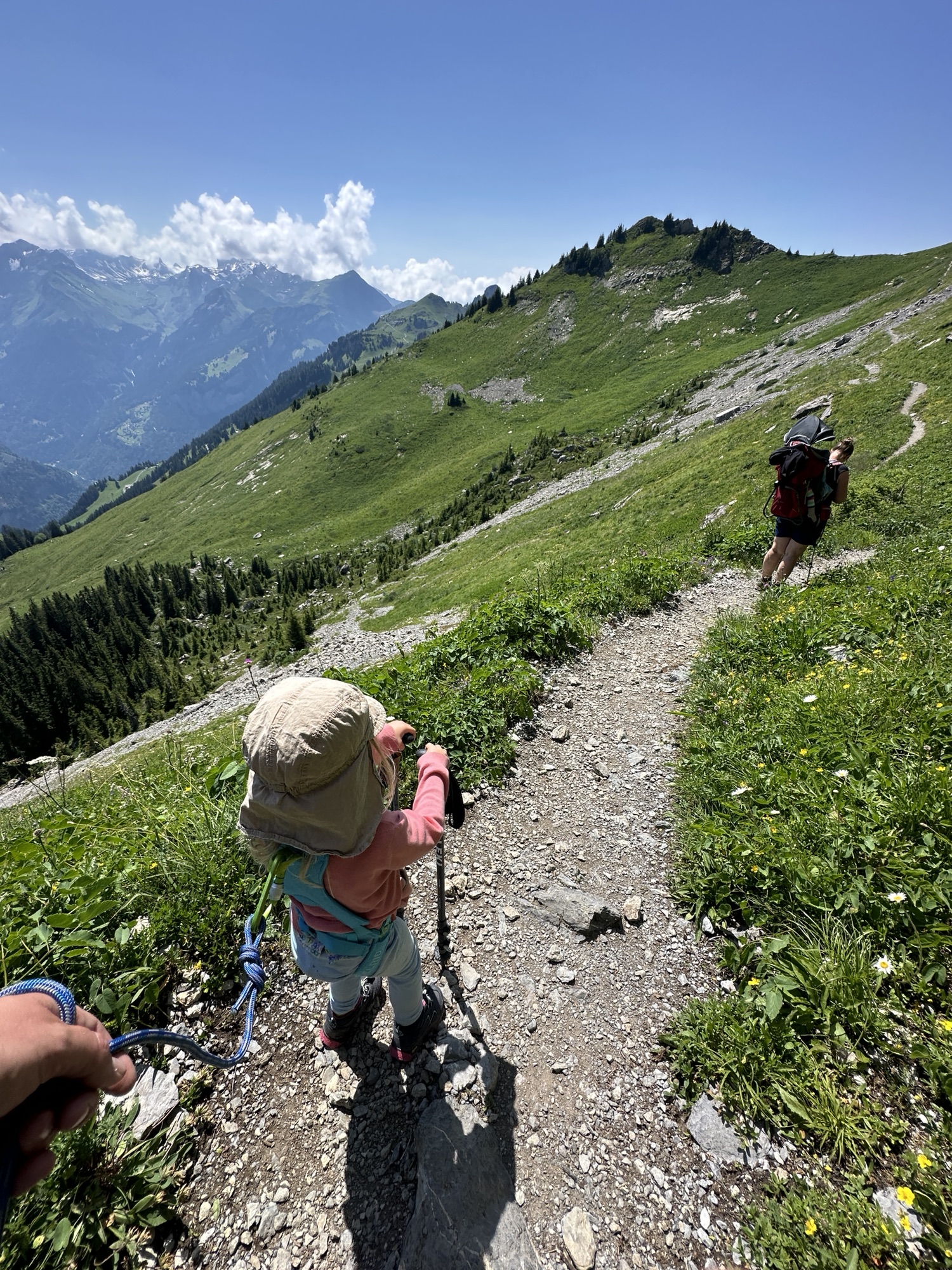 Tag 19 – Schynige Platte